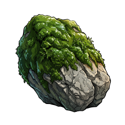 苔むした石