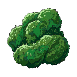 苔むす樹人の厚苔