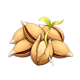 妖精草の種