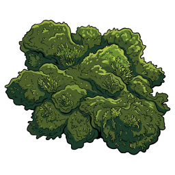 深緑の古竜の苔鱗